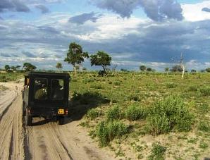 Road conditions Savuti to Linyanti Botswana